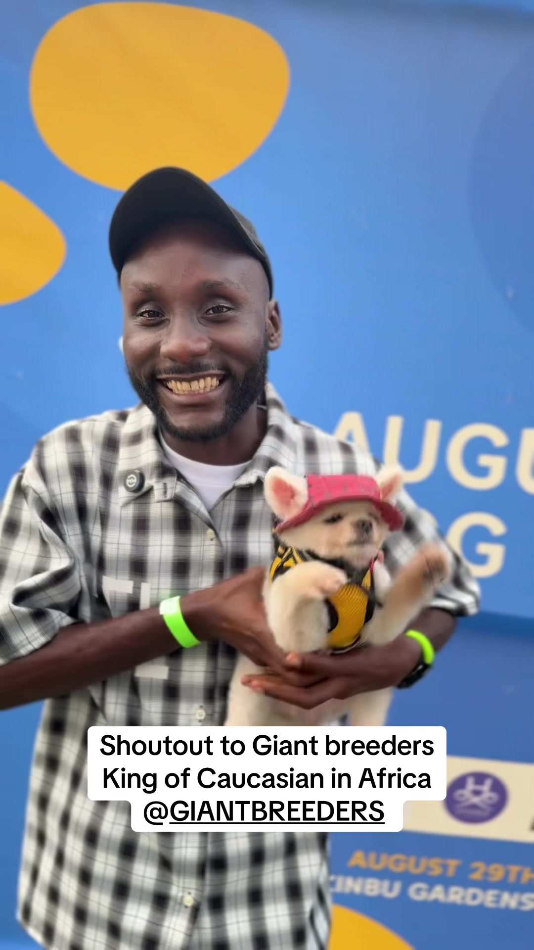 @Mothersheila_DogTv