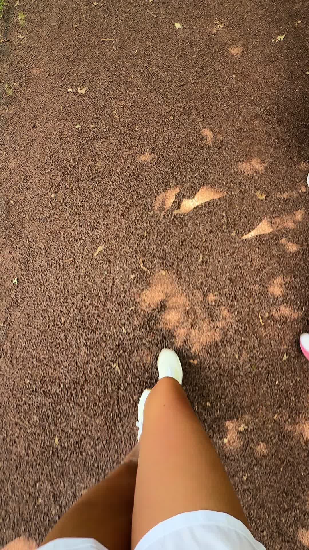 @vickygrygus