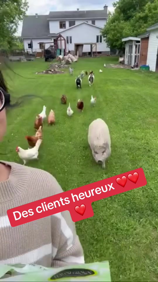 @Liquidation marie