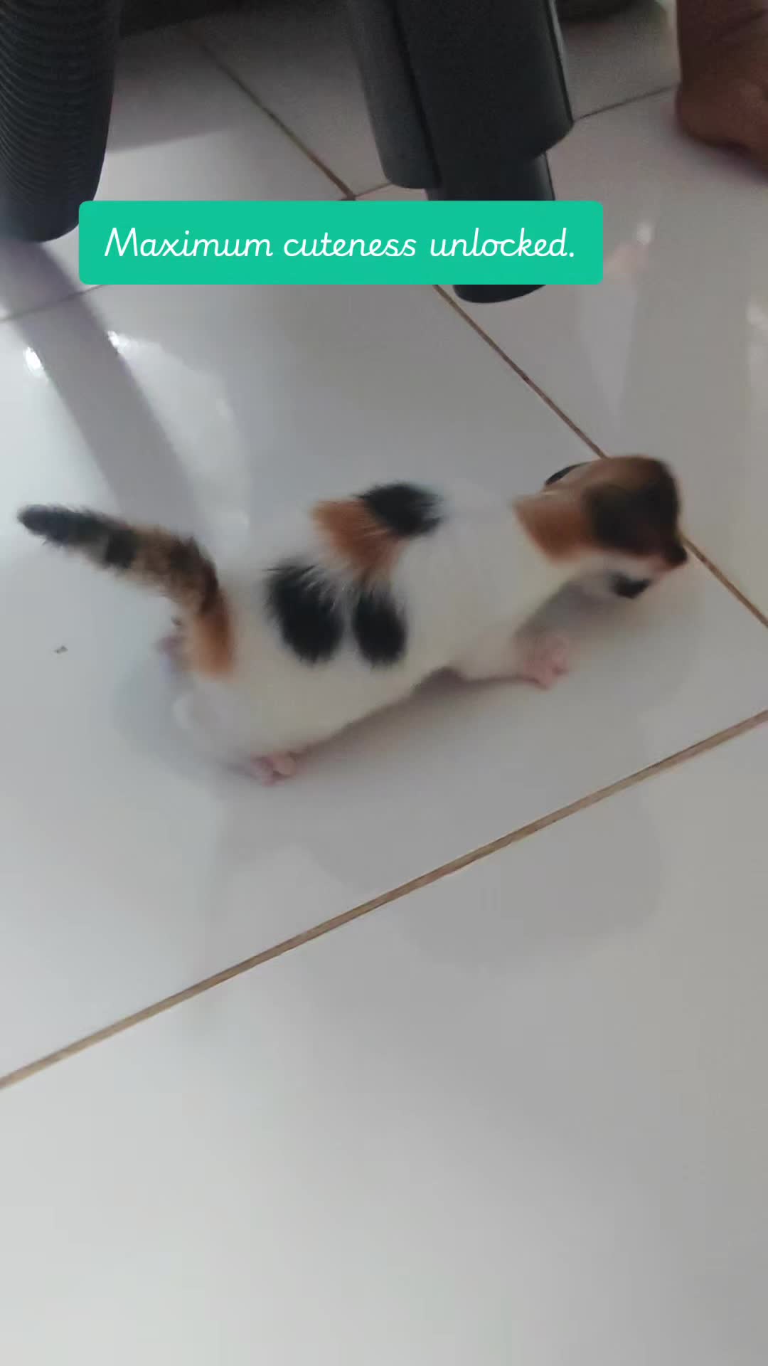 @𝙌𝙞𝙪