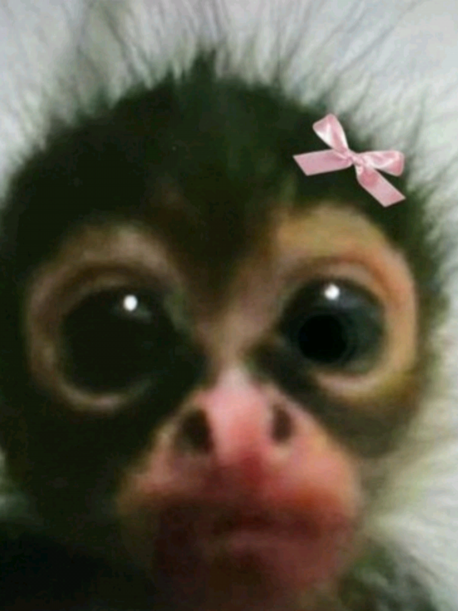 @𝓅𝒶𝓃𝓉𝓈𝒶𝓌𝓂
