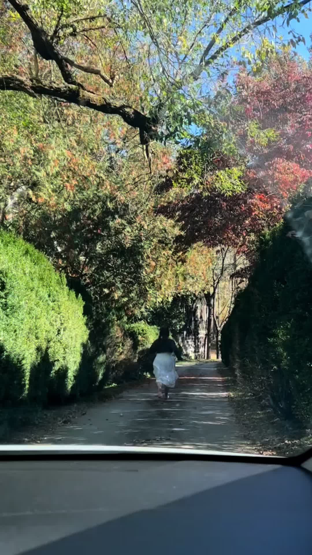 @jaqofmosttrades