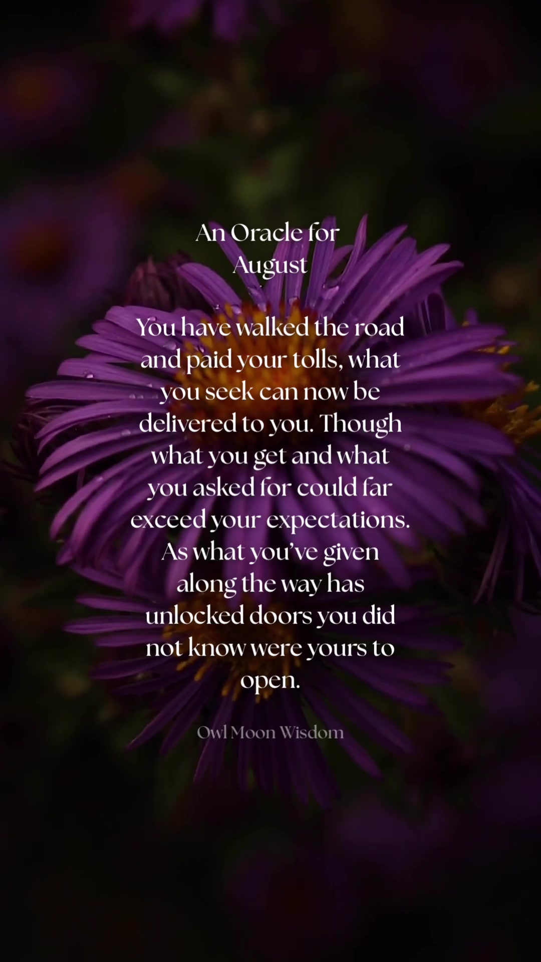@owlmoonwisdom