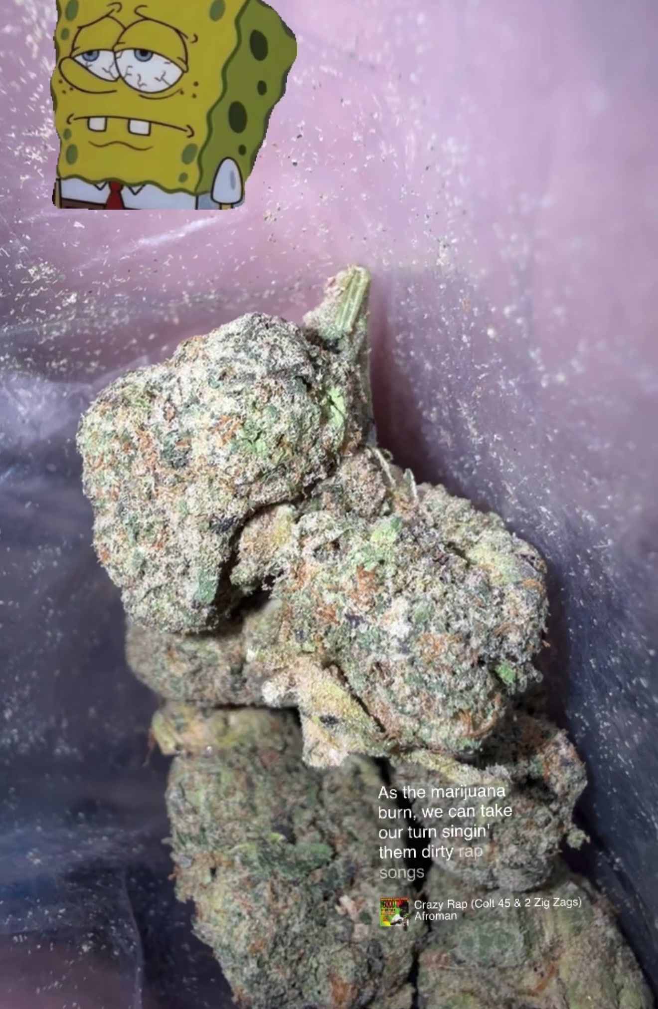 @Yung$toner420