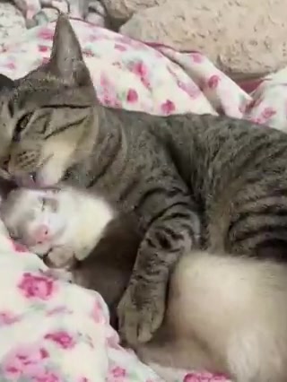@^ྀི