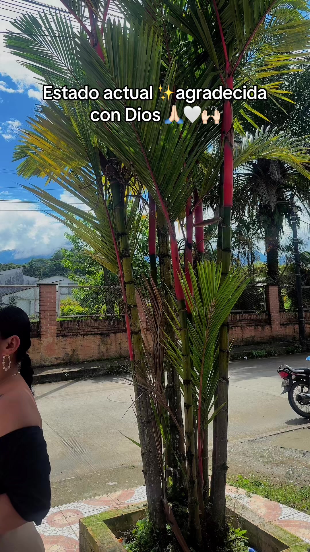 @Viviana Díaz