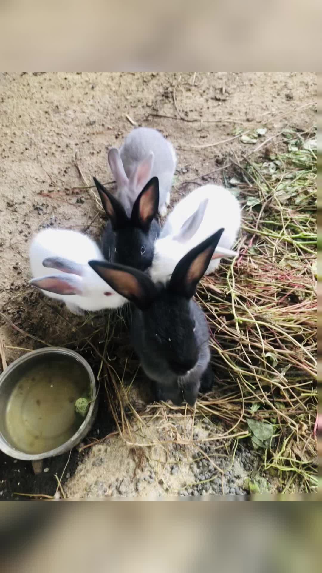 @🥰🥰🥰