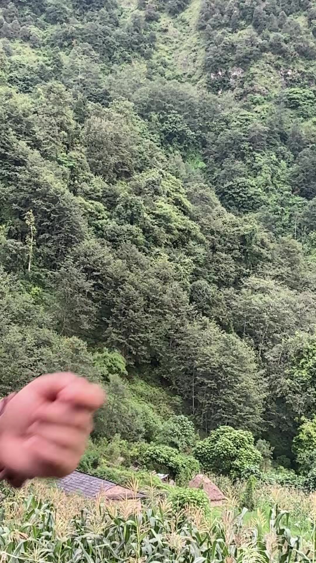 @Bunu khadka