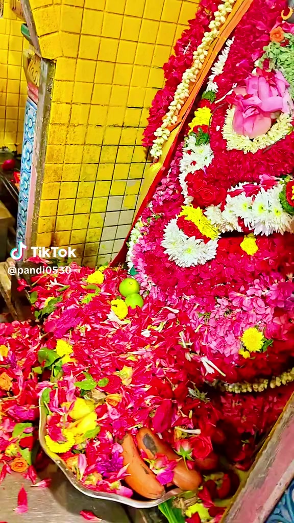 @ஓம் சற்குருவே சரணம்