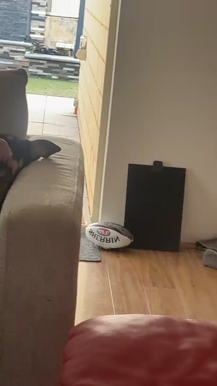 @emmalouisef367