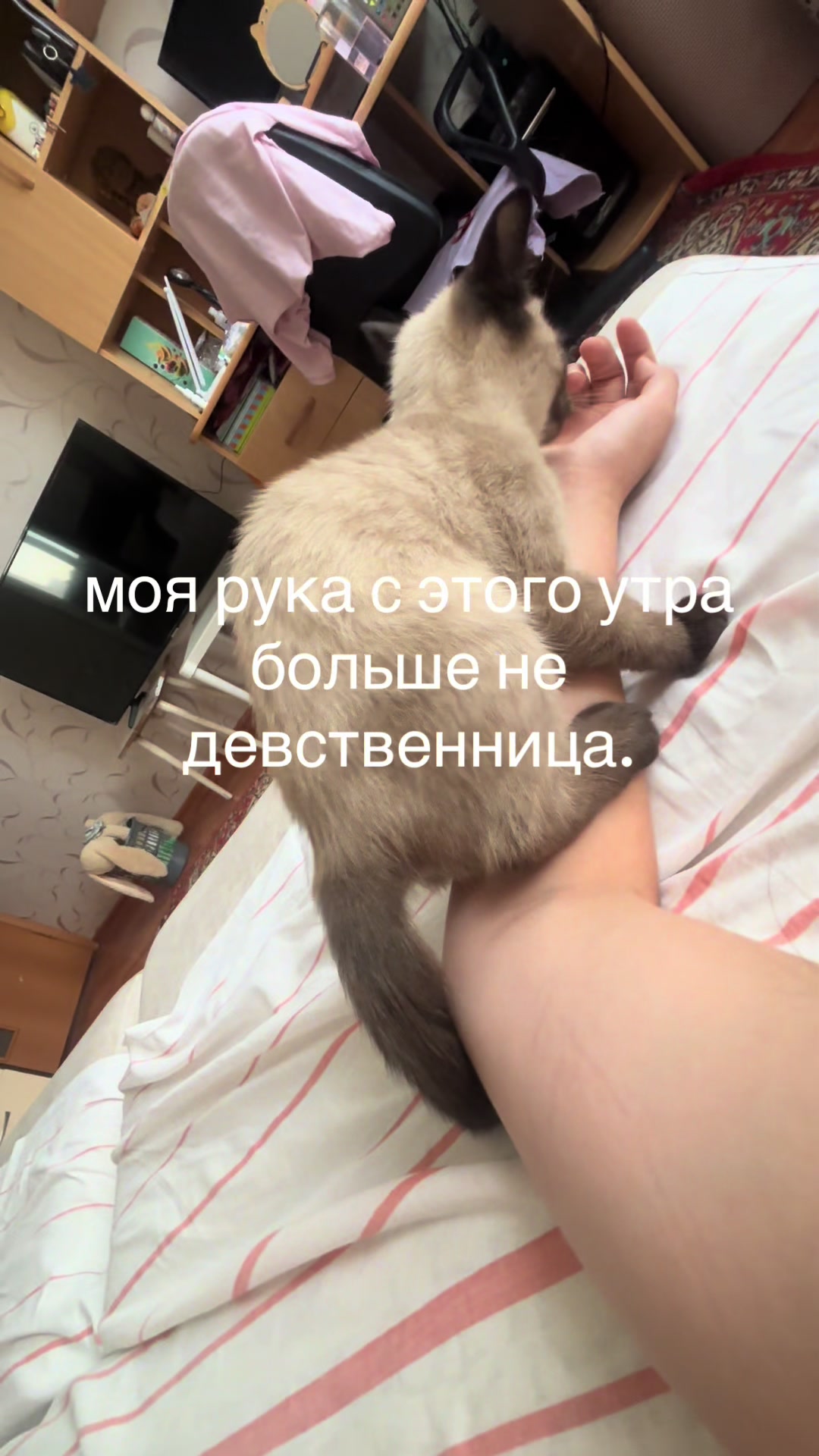 @навечно молодая