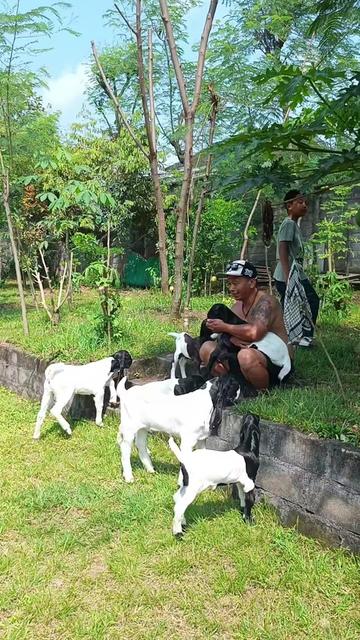 @yudi_tatto