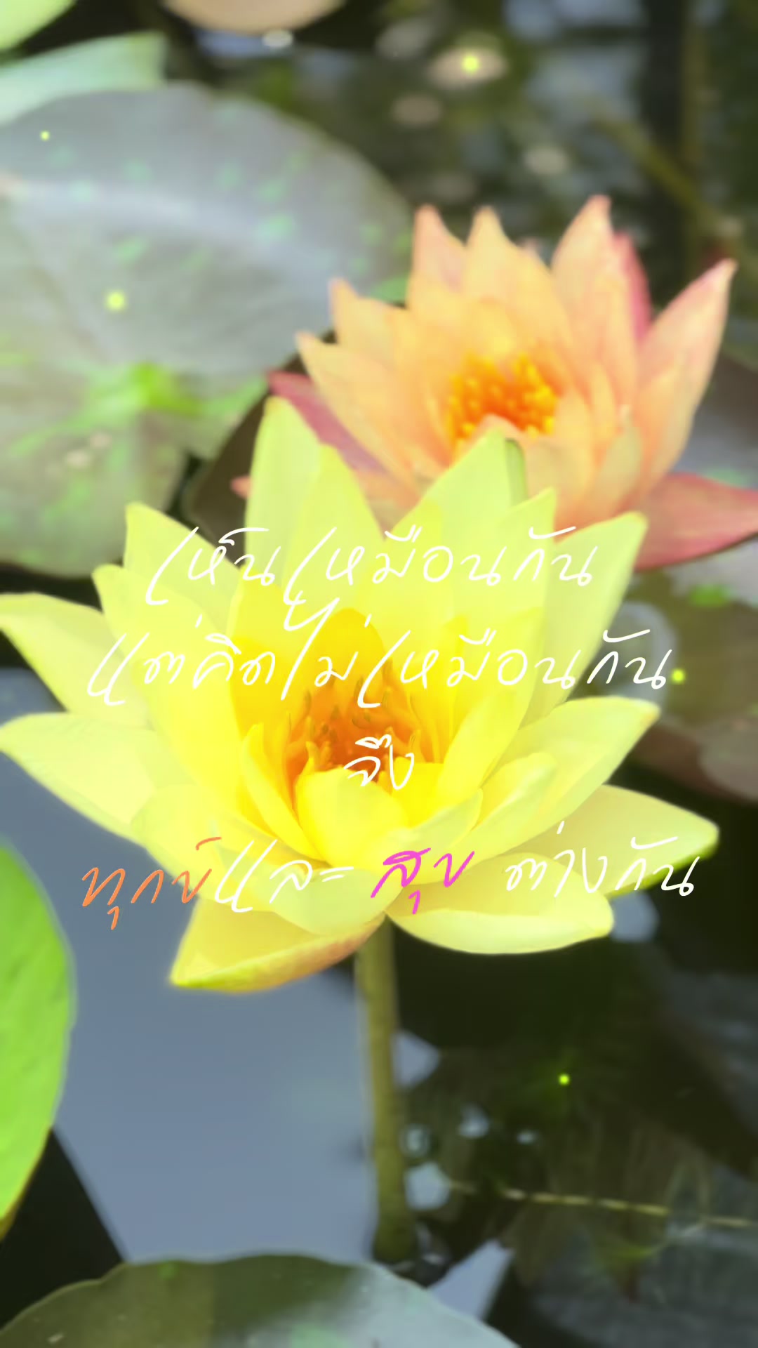 @ทัญญ่า 🌻 เรียกเราชื่อนี้ 🌻