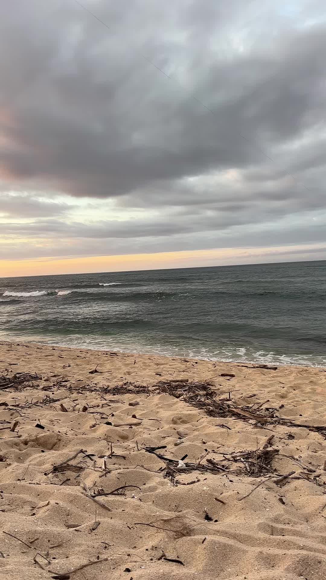 @Kamea