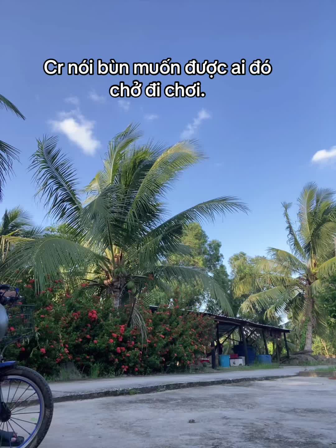 @banddz7