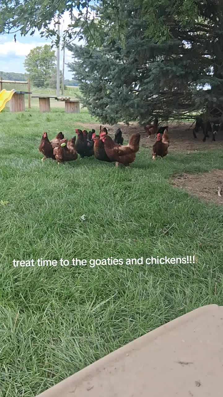 @Taylor | Sah{farm}m
