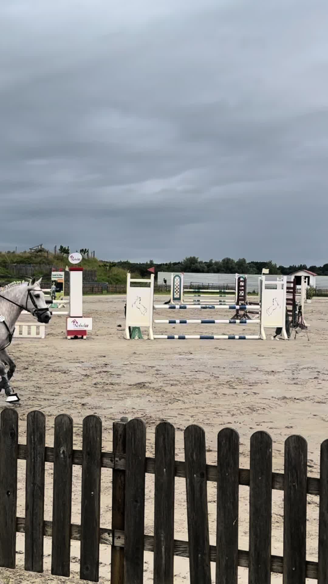 @sunny_the_pony20