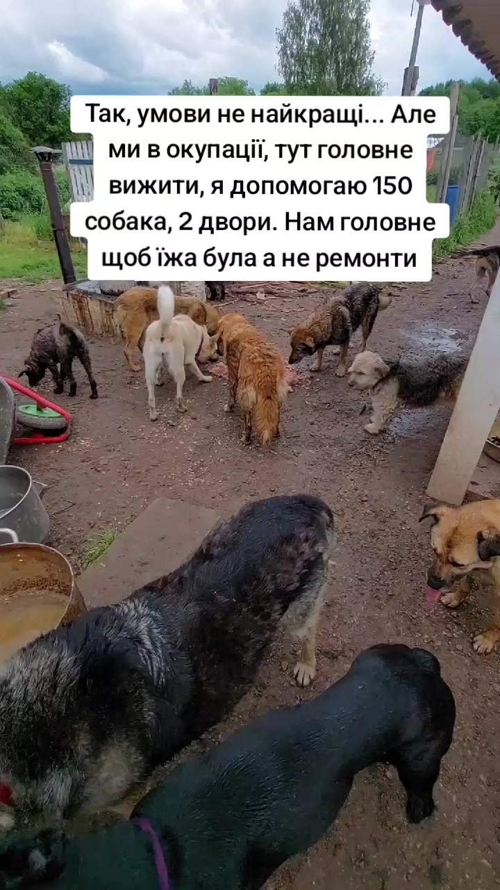 @tvarinkidobra