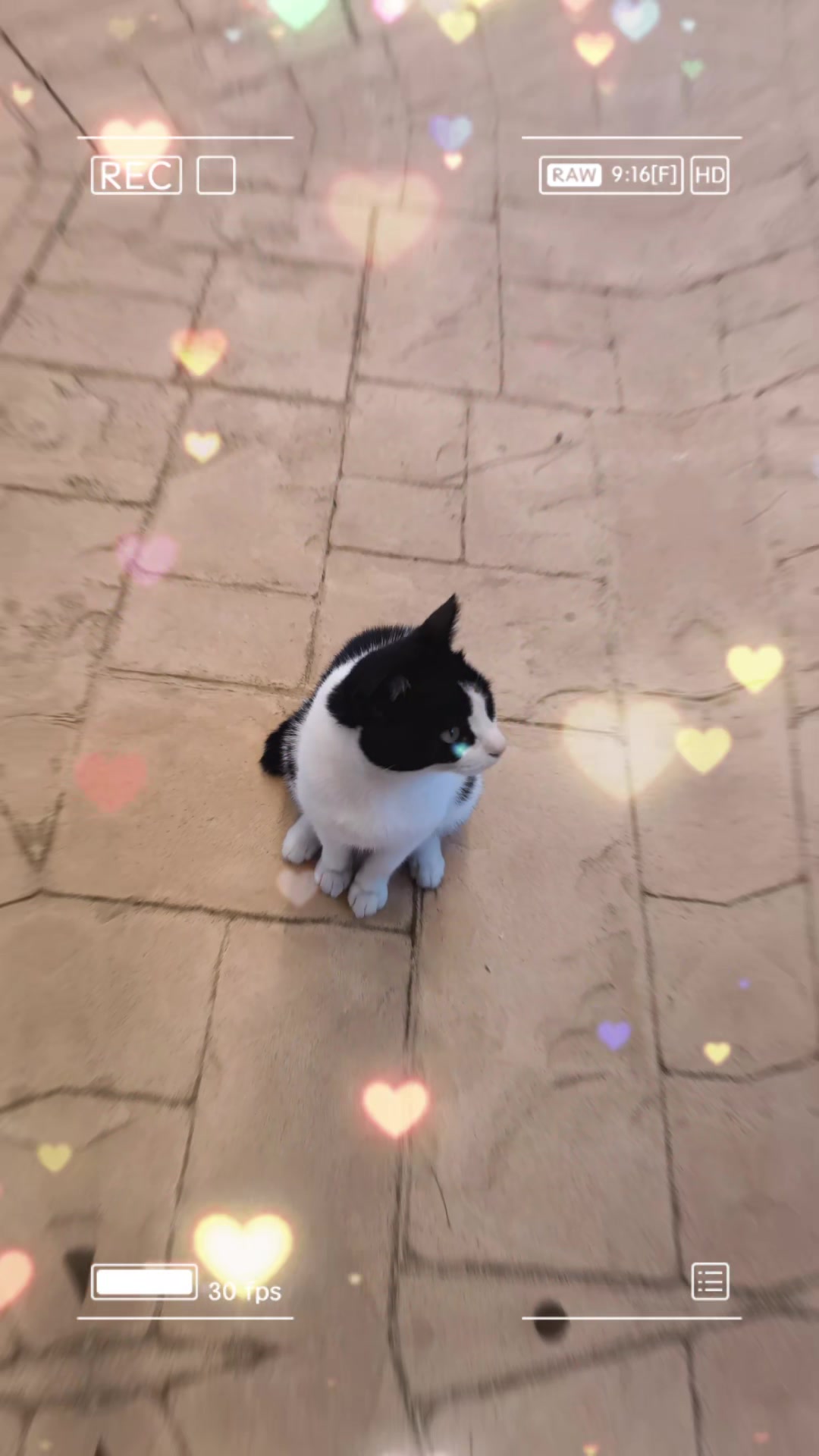 @Stalyn 🍀❤️🔥