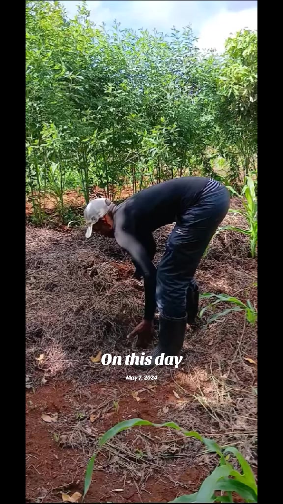 @🙏🙏🫶 muturi  wa kanyi