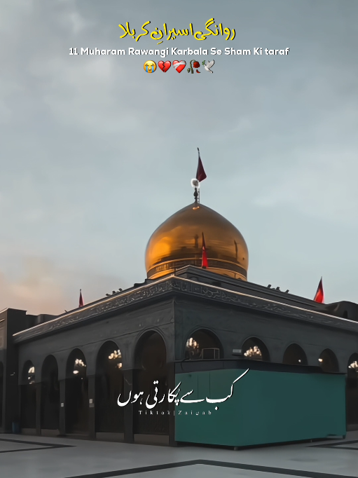 @𝐙𝐀𝐈ن𝐀𝐛ރ