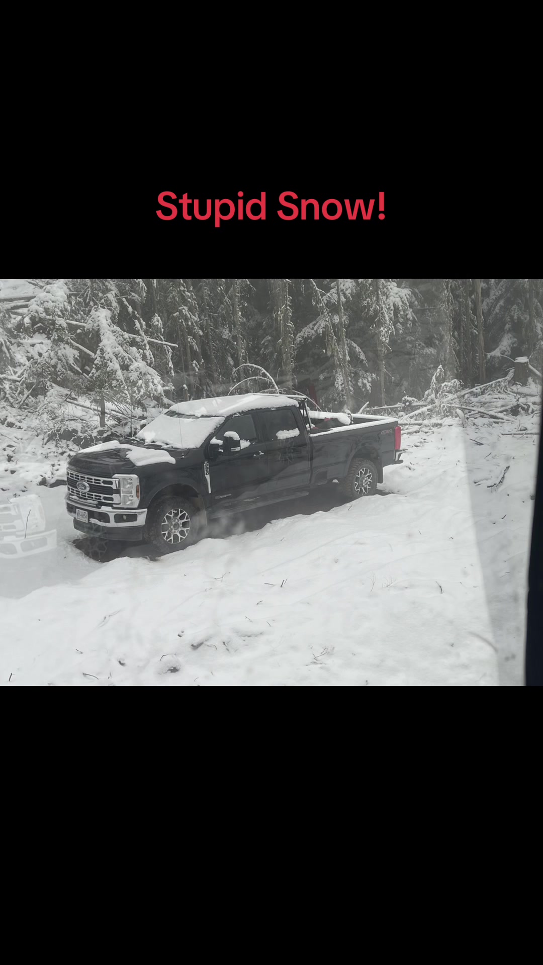 @ltslogging