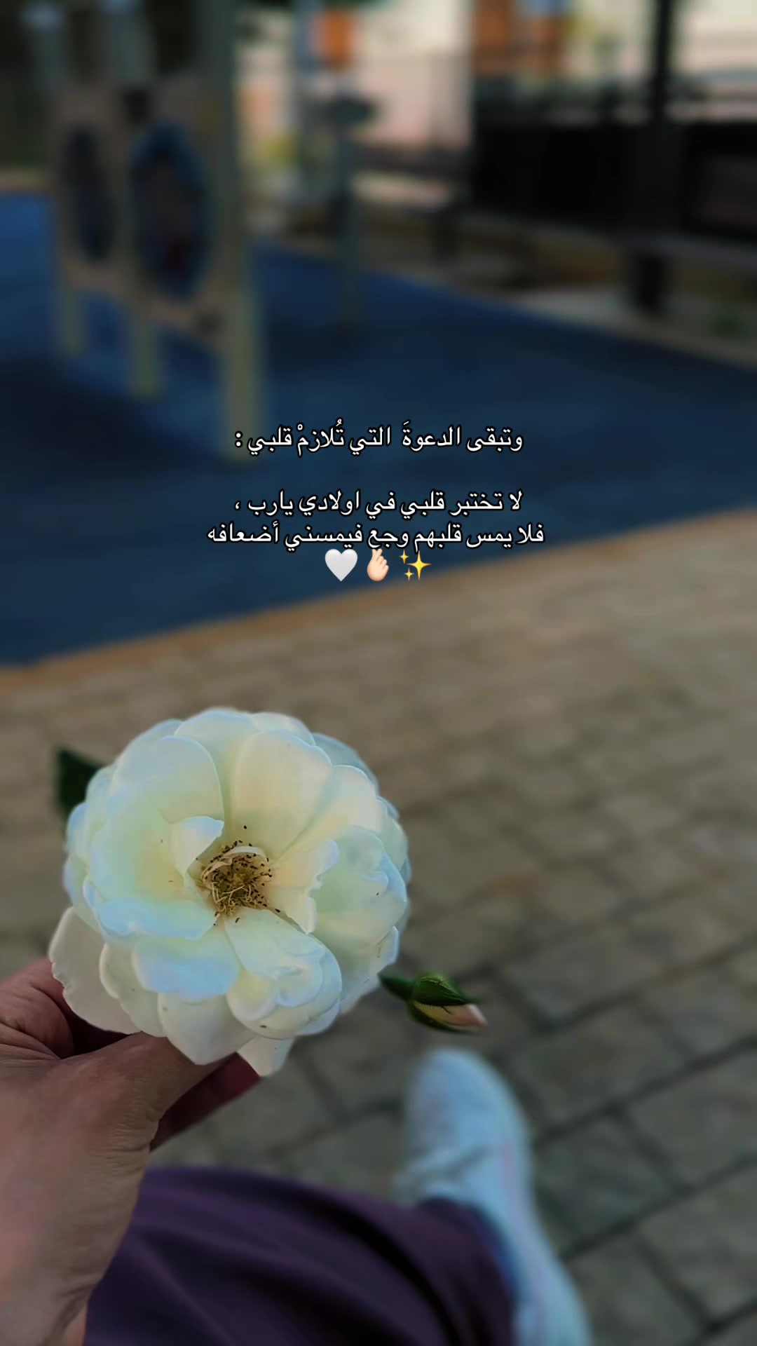 @Rawan 🦋