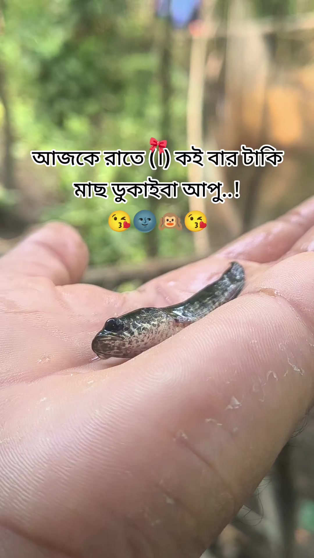 @(っ◔࿐🐸🫦দুষ্ট দাদু🫦🐸࿐(っ◔◡◔)っ