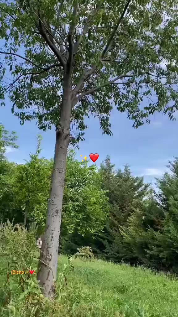 @😩🦋Farasha 🦋❤️🔥
