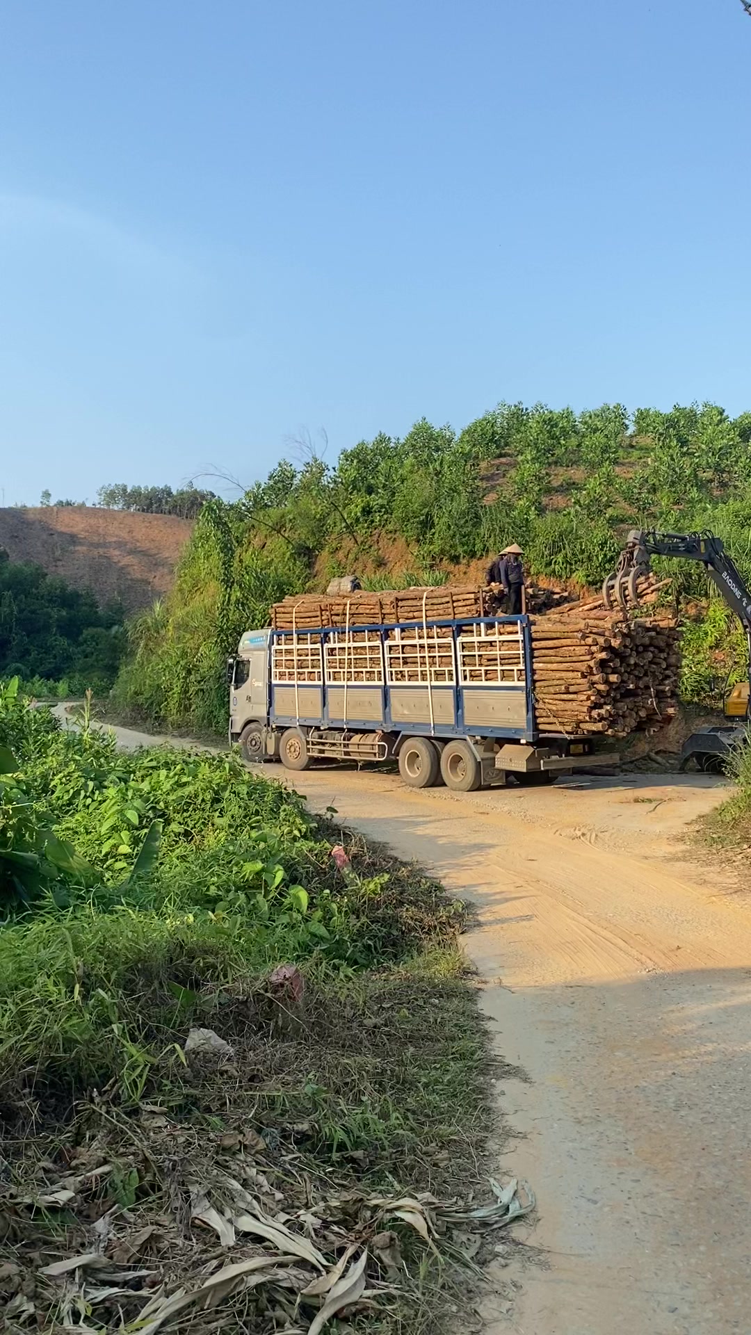 @Nông đức long