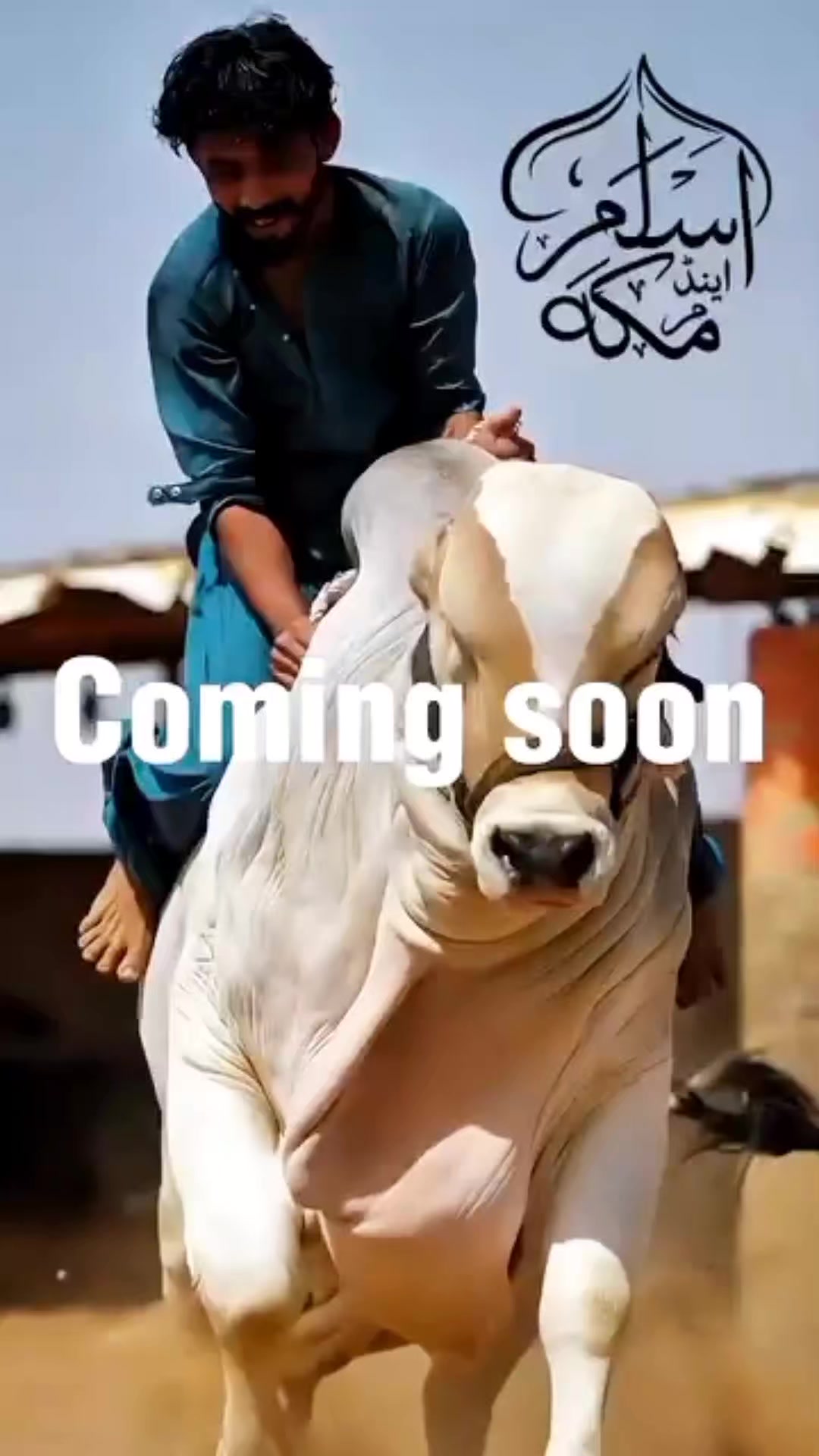 @Sameer._.Raza🤣