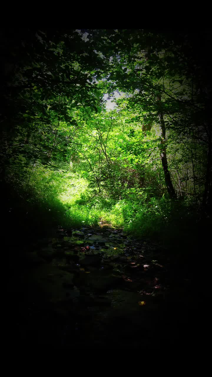 @Backyard Appalachia