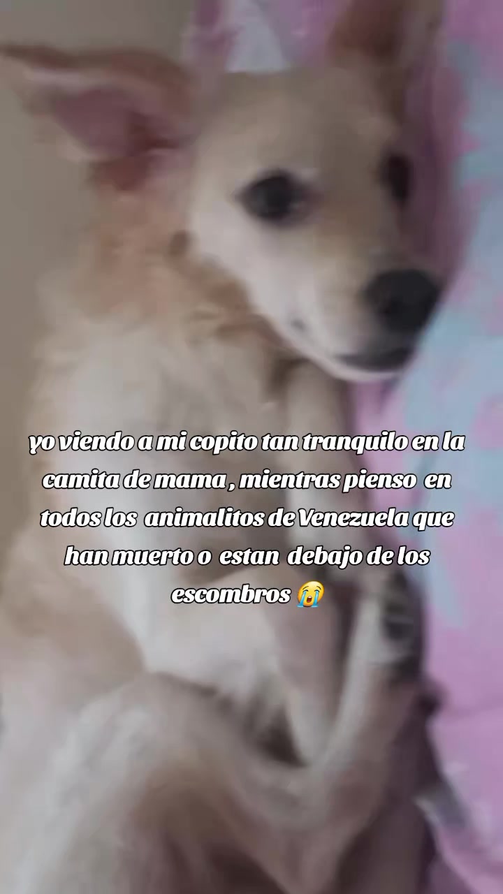 @liliana🦊🖤