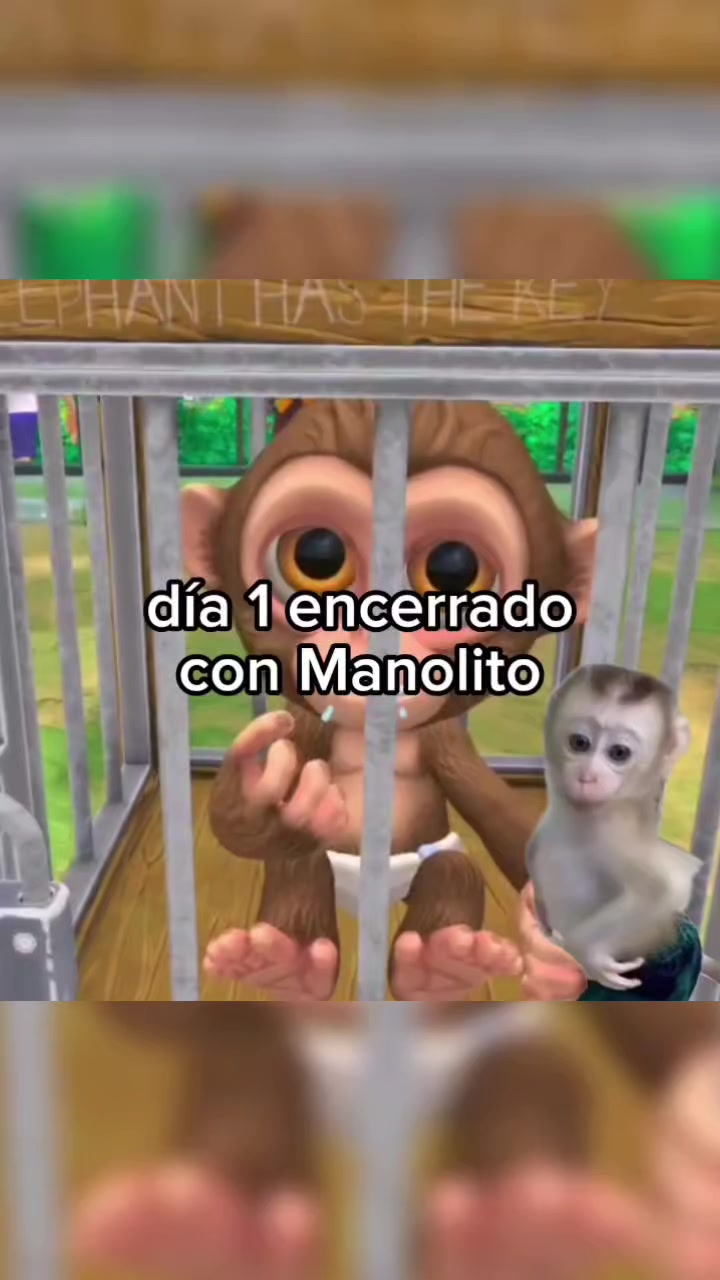 @BolilloVR