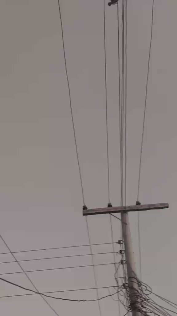 @RAجpooT 1🚩
