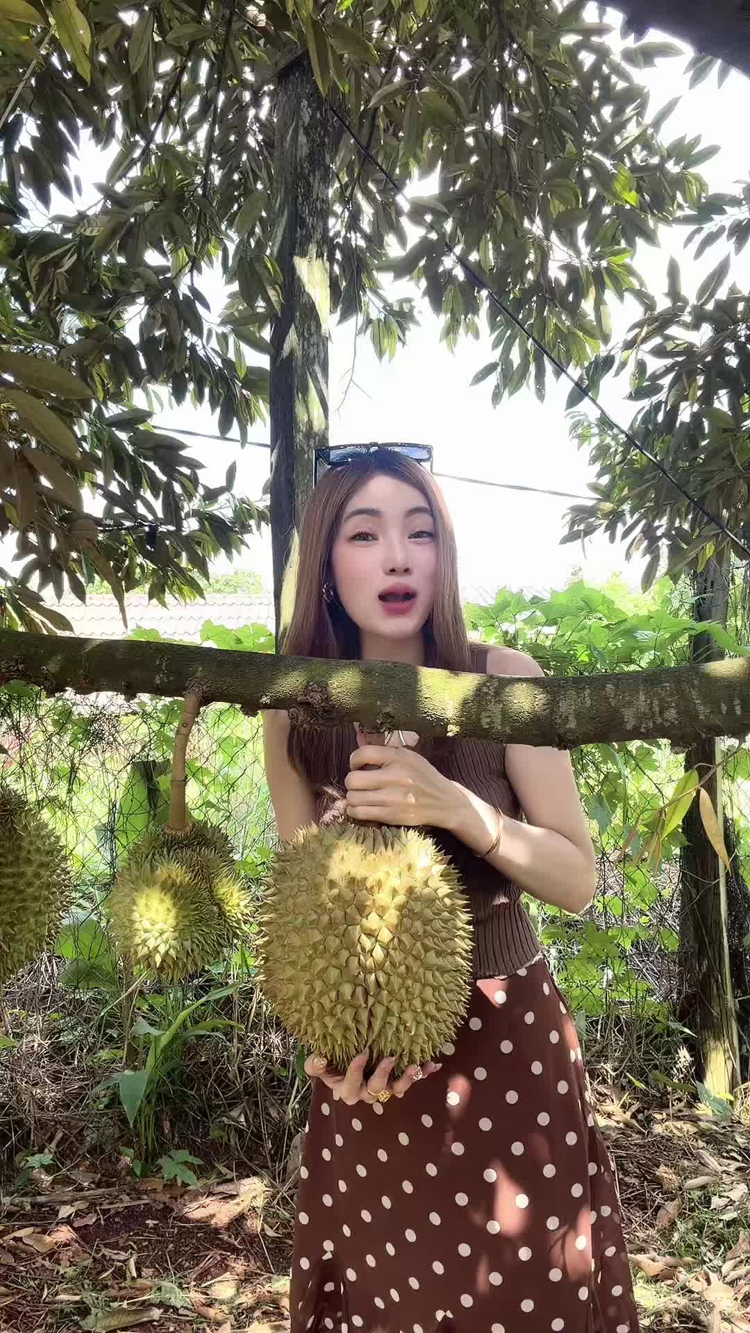 @Je phy (JP)