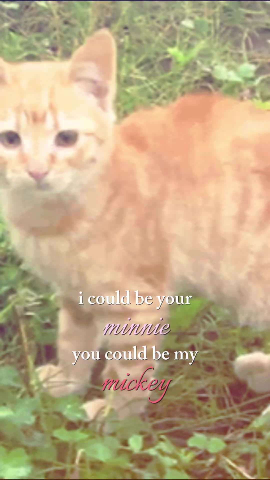 @Aikooooooooooooooooooooooooooo