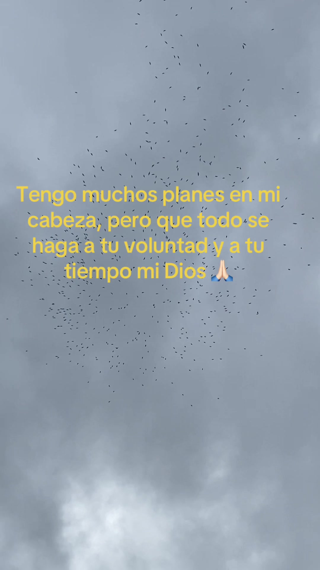 @JILIAN BAIQUE RAMÍREZ