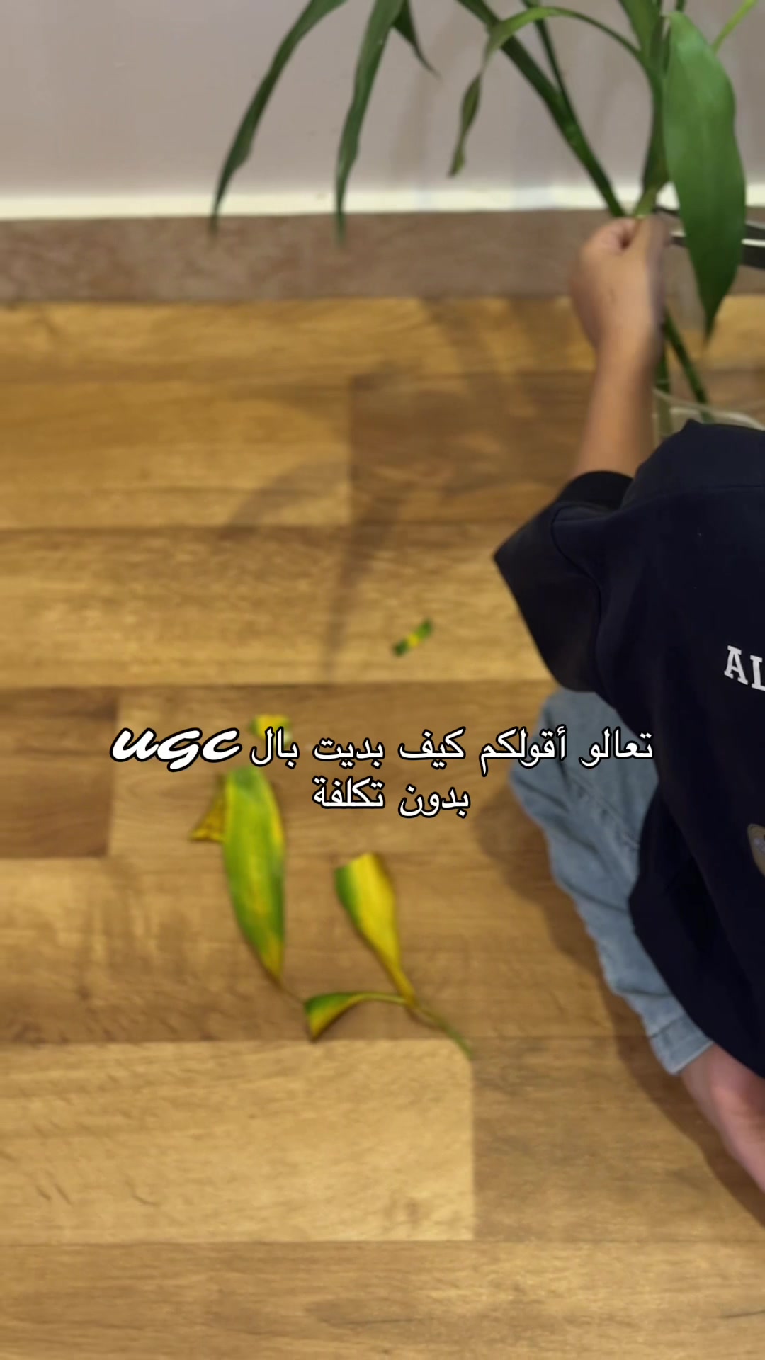 @حــــــور UGC