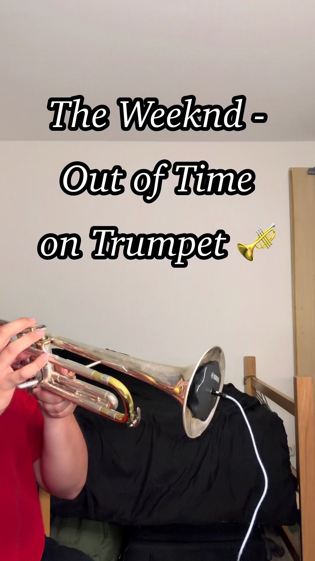 @mexicantrumpetboy