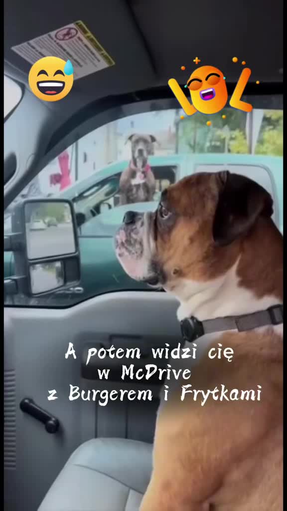 @🇺🇸Ujek.z.Ameryki76🇵🇱