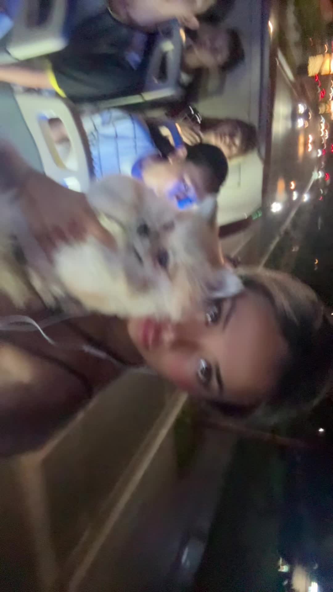 @Asian Bunny💎🐰