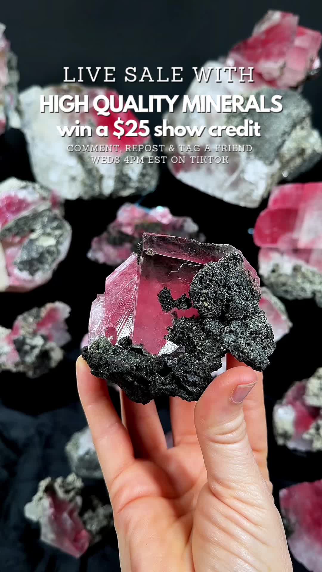 @Crystal Live Emporium✨Natalie