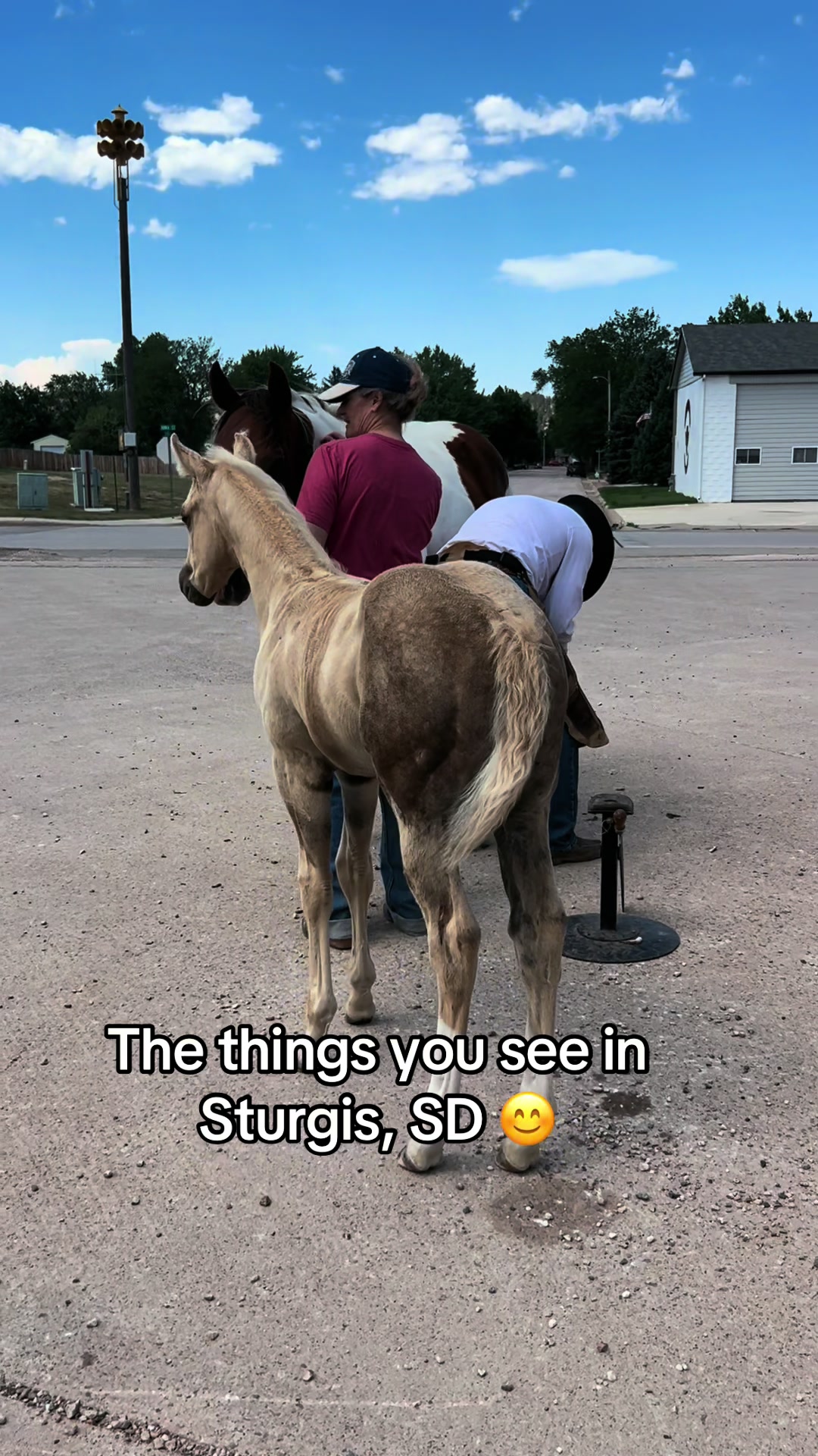 @Tori
