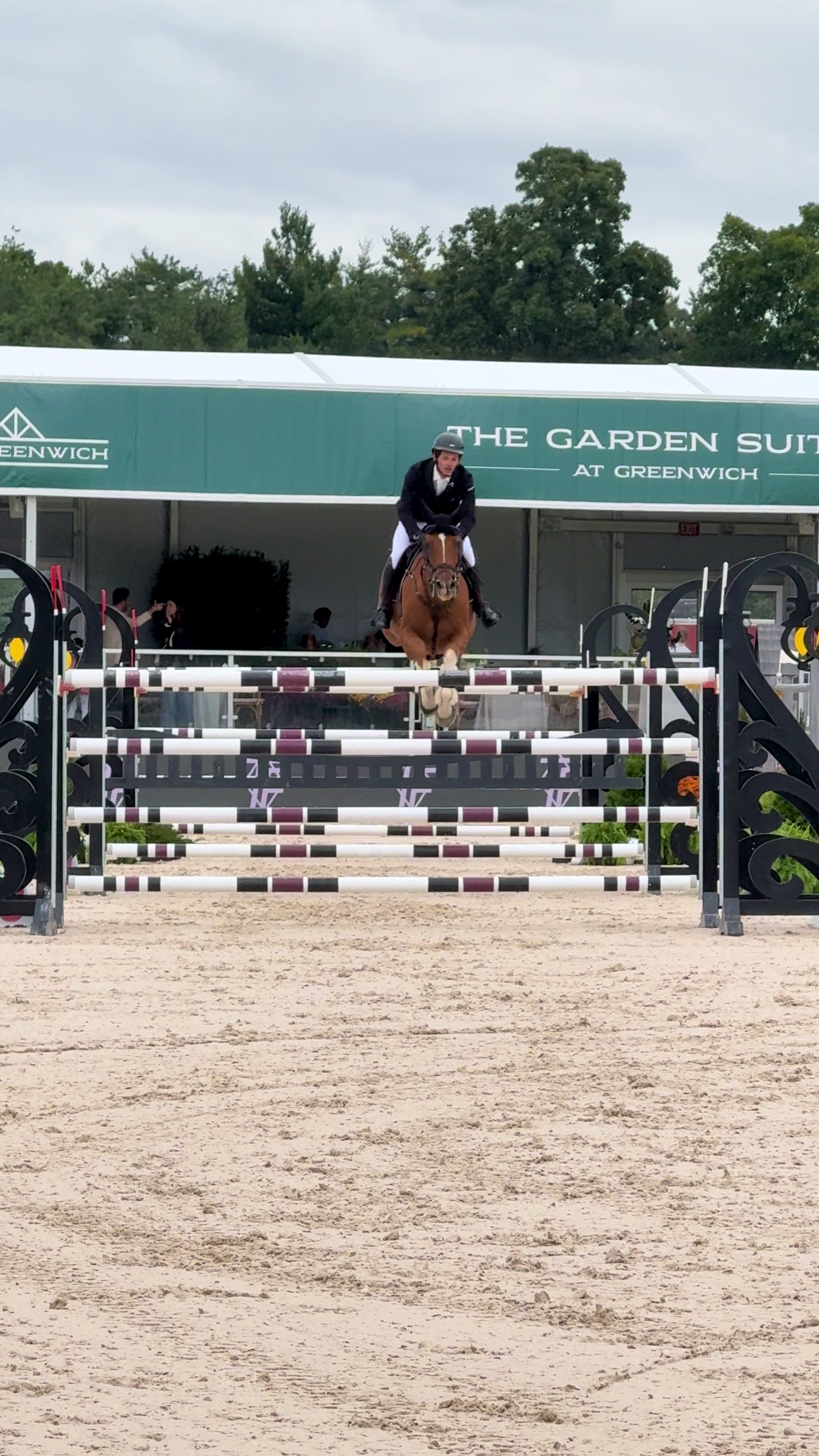 @Major League Show Jumping