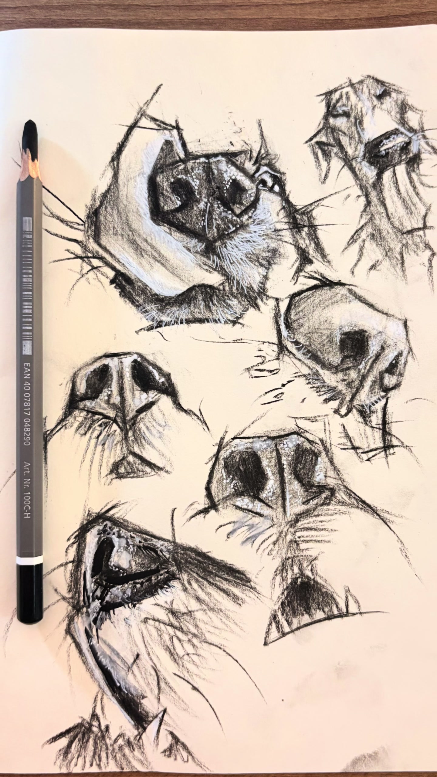 @julioartworks