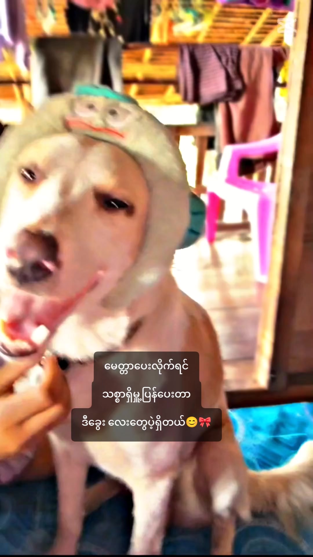 @ð.ðµðð ð³ðð.ᥫá¡