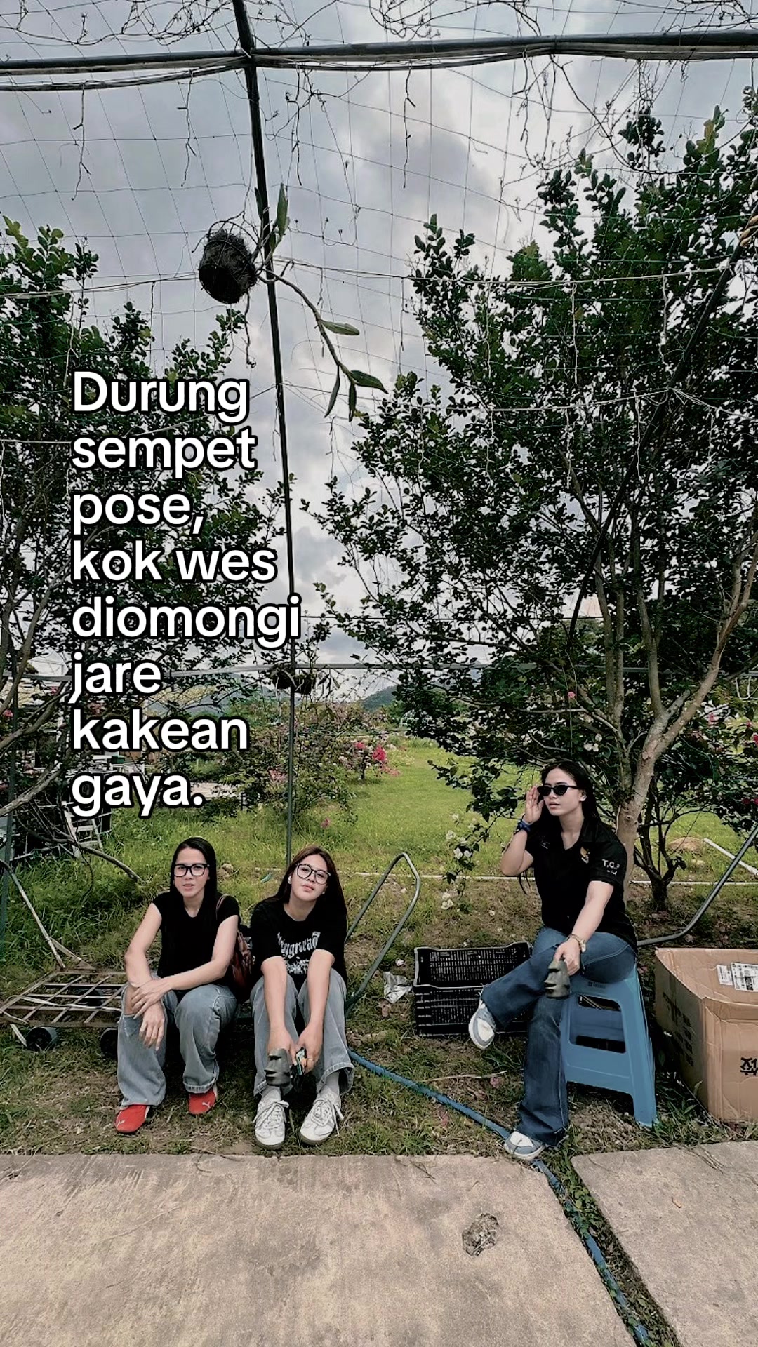 @Monica Icha