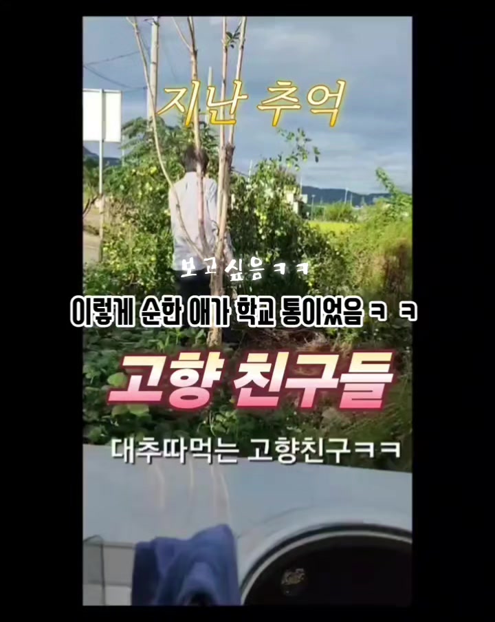 @👑🎙노래하는 DJ충만🎙👑 (보컬충만,본계)