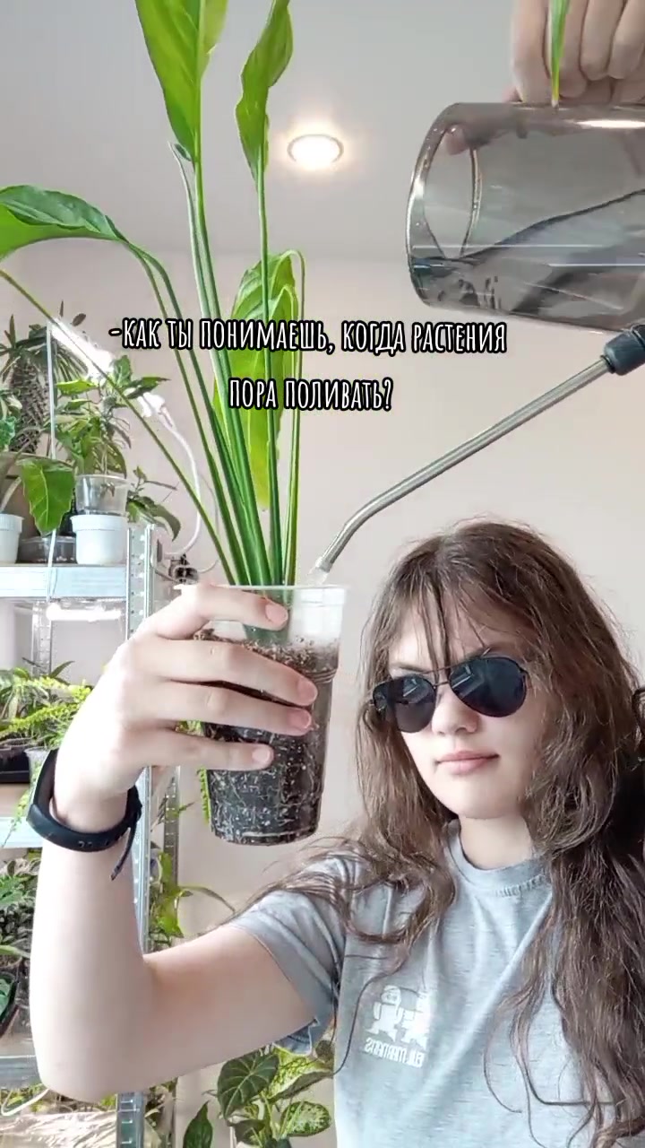 @mosungrass
